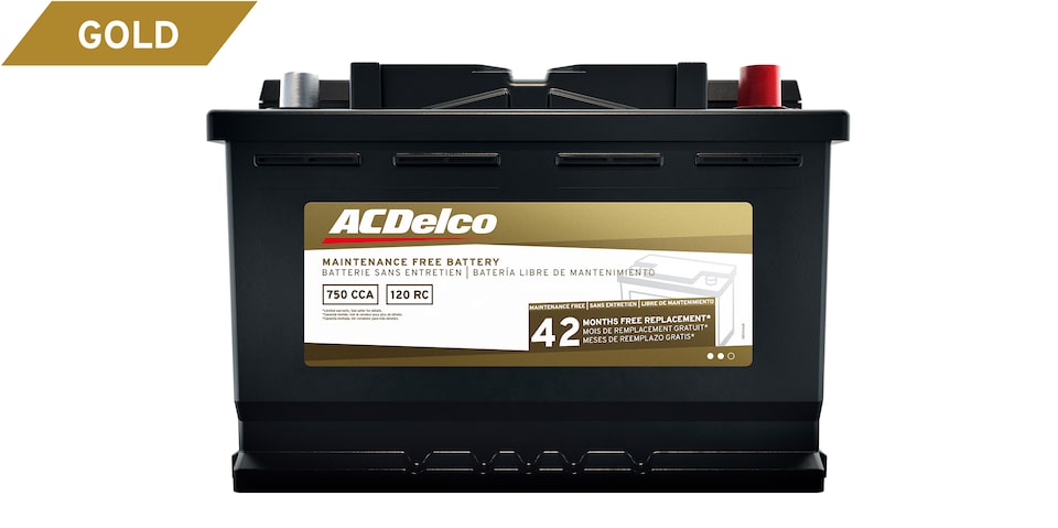 ACDelco Gold Battery