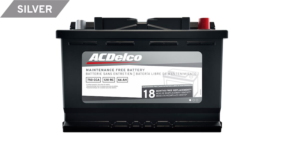 ACDelco Silver Battery